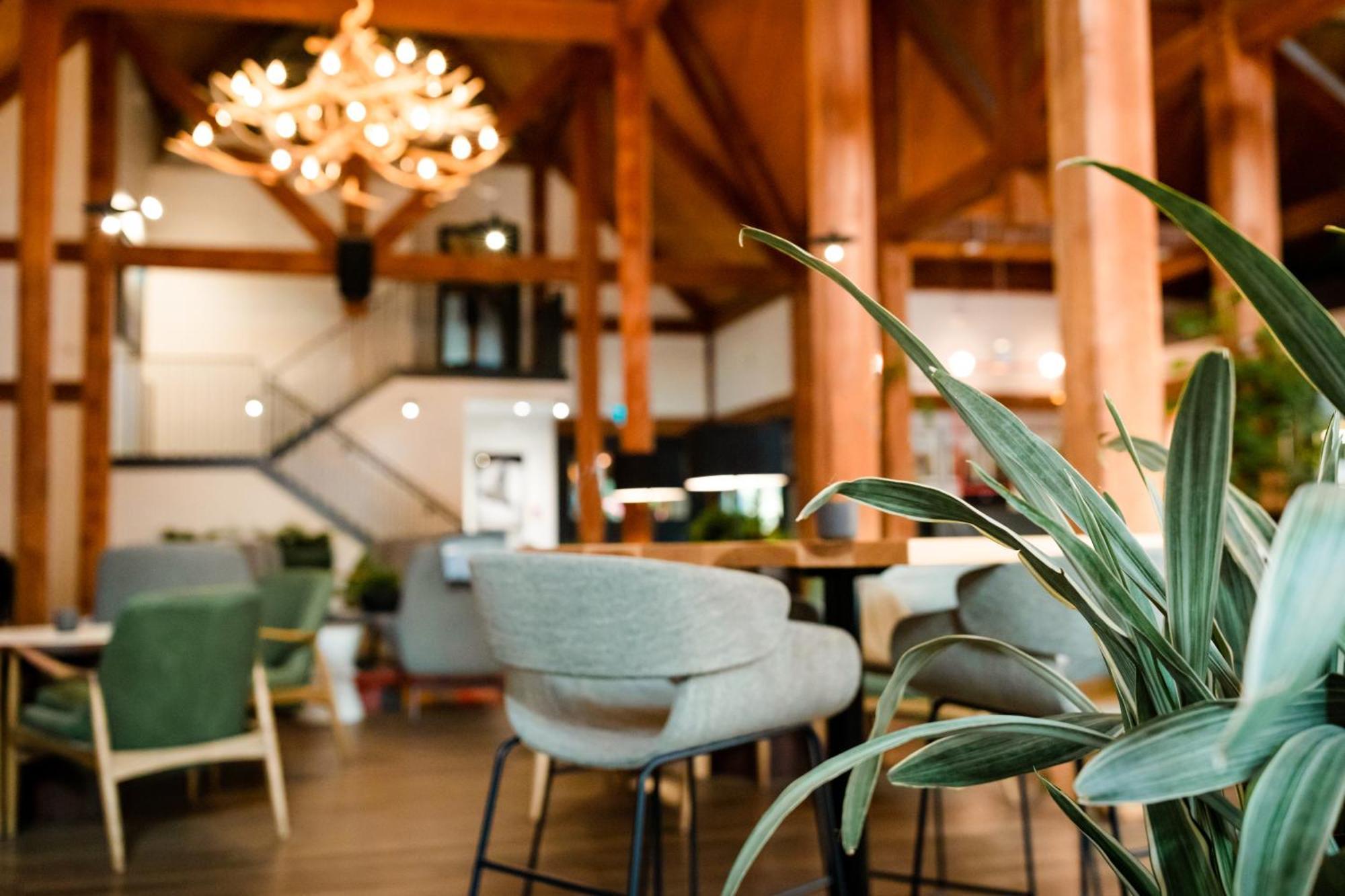 Buffalo Mountain Lodge Banff Zewnętrze zdjęcie
